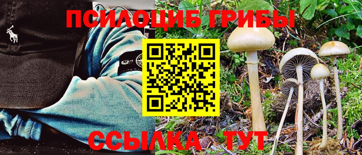 Алексеевка  Галлюциногенные грибы MAGIC MUSHROOMS  купить наркоту  Вход с VPN 