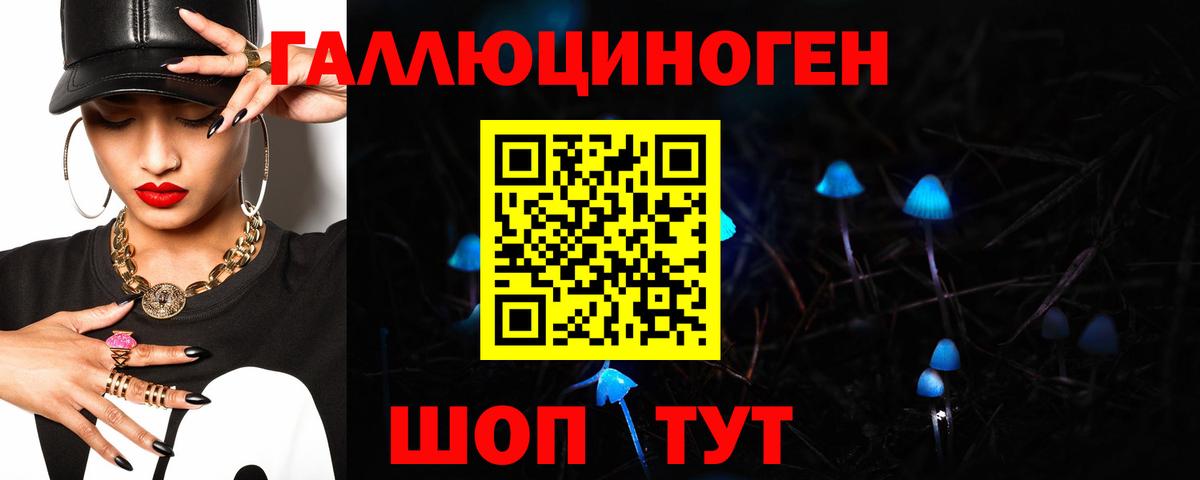 Галлюциногенные грибы Psilocybine cubensis Алексеевка