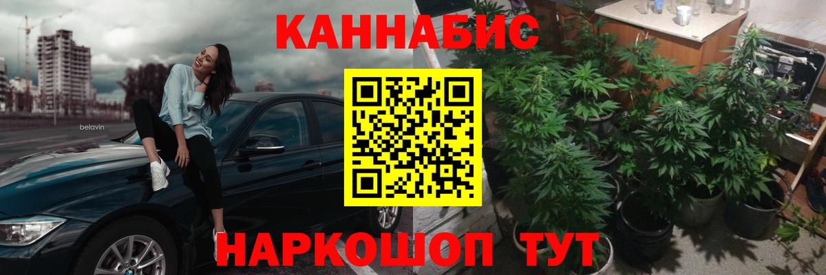Шишки марихуана OG Kush Алексеевка